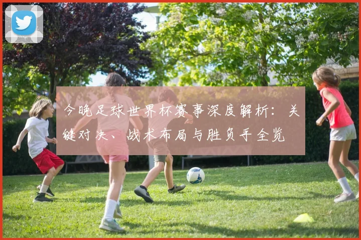 今晚足球世界杯赛事深度解析：关键对决、战术布局与胜负手全览