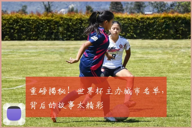 重磅揭秘！世界杯主办城市名单，背后的故事太精彩