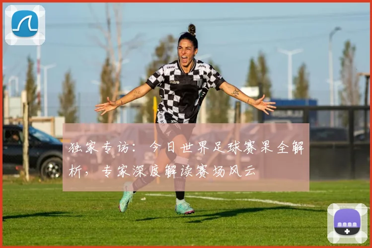 独家专访：今日世界足球赛果全解析，专家深度解读赛场风云